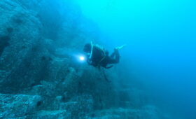 ダイブテリーズ