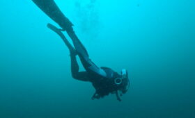 ダイブテリーズ