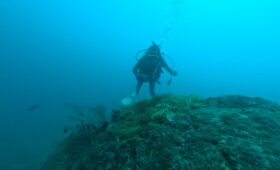 ダイブテリーズ