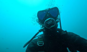 ダイブテリーズ