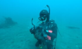 ダイブテリーズ