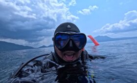 ダイブテリーズ