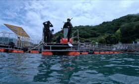 ダイブテリーズ