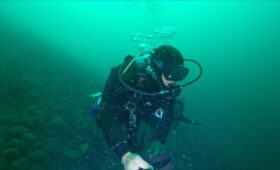 ダイブテリーズ