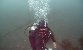 ダイブテリーズ