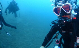 ダイブテリーズ