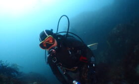 ダイブテリーズ