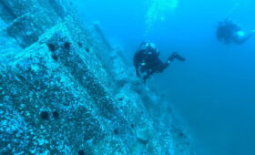 ダイブテリーズ