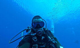 ダイブテリーズ