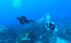 ダイブテリーズ