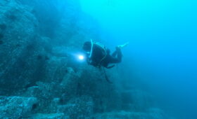 ダイブテリーズ