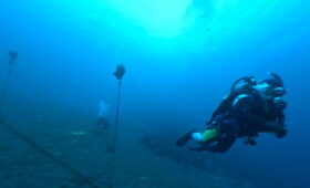 ダイブテリーズ