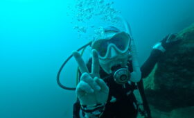 ダイブテリーズ