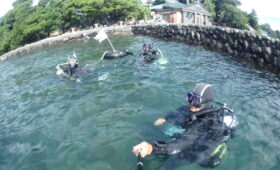 ダイブテリーズ