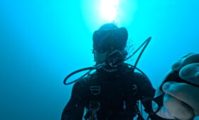 ダイブテリーズ