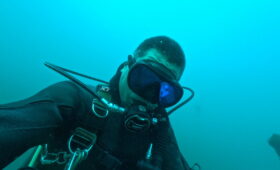 ダイブテリーズ