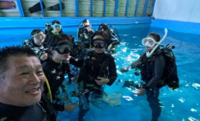 ダイブテリーズ