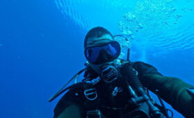 ダイブテリーズ