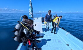 ダイブテリーズ