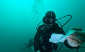 ダイブテリーズ