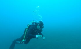 ダイブテリーズ