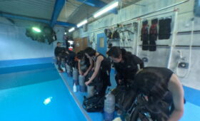 ダイブテリーズ