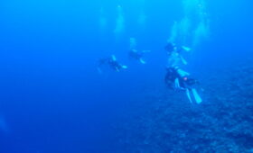 ダイブテリーズ