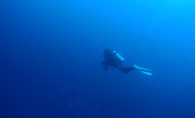 ダイブテリーズ