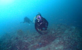 ダイブテリーズ