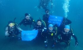 ダイブテリーズ