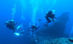 ダイブテリーズ