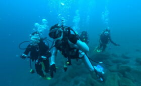 ダイブテリーズ