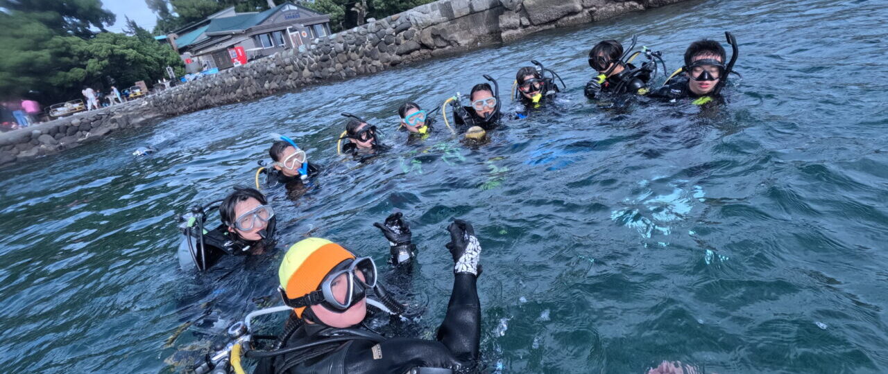 ダイブテリーズ