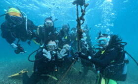 ダイブテリーズ