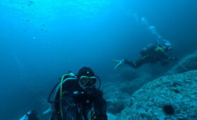 ダイブテリーズ