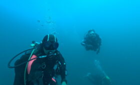 ダイブテリーズ