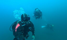 ダイブテリーズ