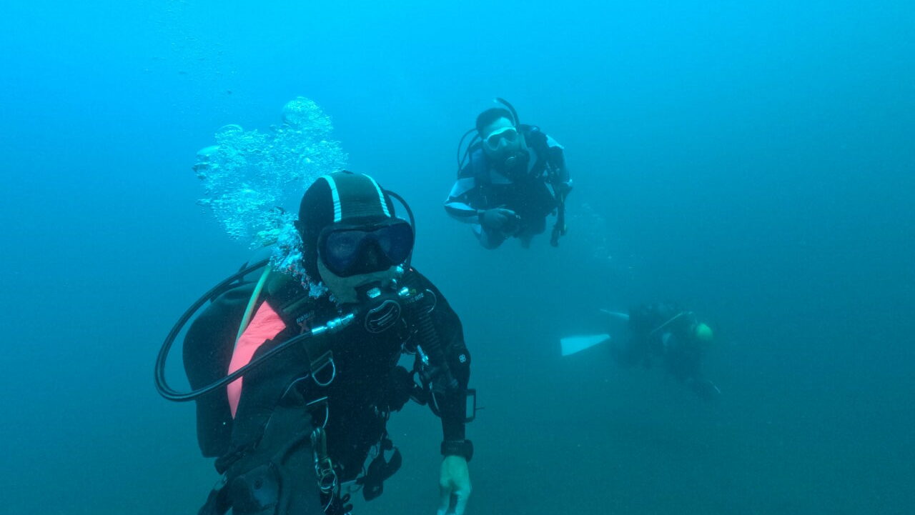 ダイブテリーズ