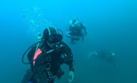 ダイブテリーズ