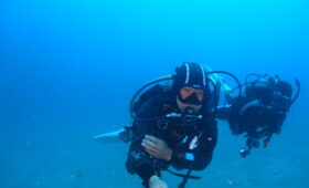 ダイブテリーズ