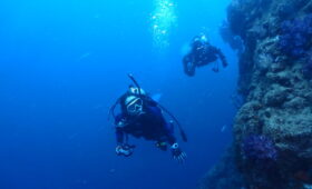 ダイブテリーズ