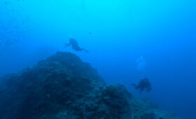 ダイブテリーズ