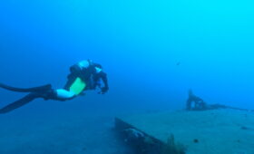 ダイブテリーズ