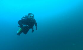 ダイブテリーズ