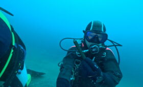 ダイブテリーズ