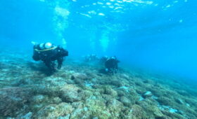 ダイブテリーズ