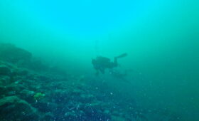 ダイブテリーズ