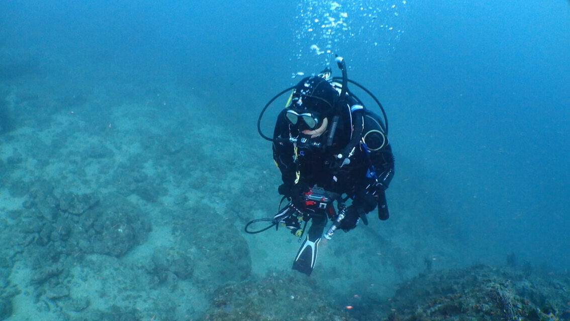 ダイブテリーズ