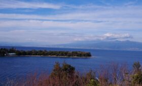 ダイブテリーズ