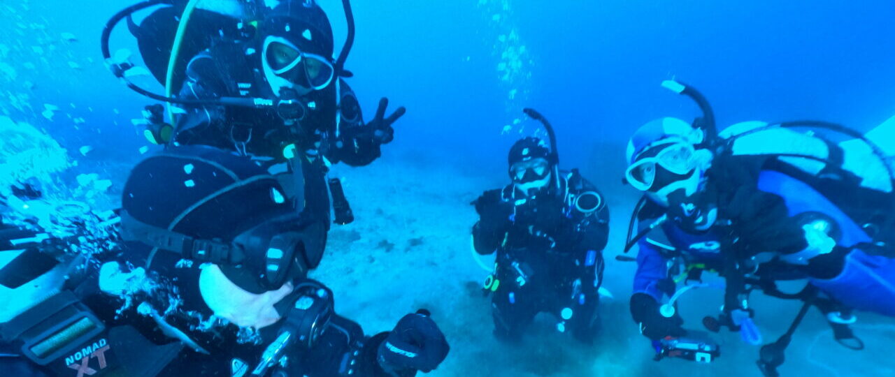 ダイブテリーズ